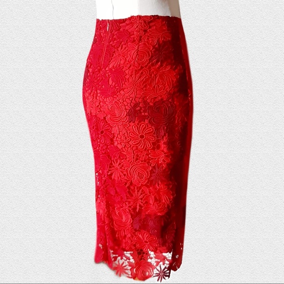 David Lawrence Dresses & Skirts - 🔥80%OFF🔥SIZE 8 NWT DAVID LAWRENCE Red Zhana Lace Midi Skirt